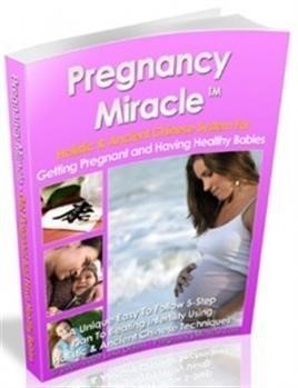 &quot;Pregnancy Miracle Book Summary