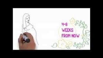 &quot;Pregnancy Miracle Book Success Stories