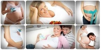 &quot;Miracle Whip Safe During Pregnancy