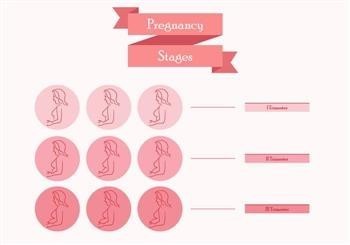 &quot;Miracle Pregnancy After Vasectomy