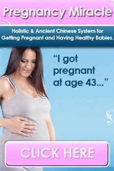 &quot;Price of Pregnancy Miracle Book