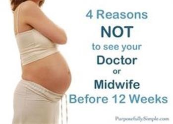 &quot;The Miracle Pregnancy Book